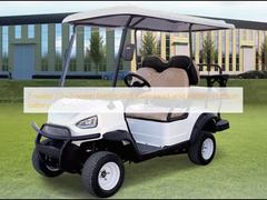 2-местный / 2+2-местный электрический гольф-кар Аккумуляторная батарея (свинцово-кислотная) / Литиевая батарея